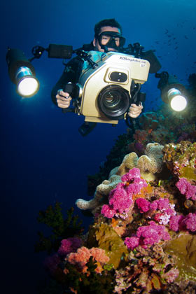 Pelagic Production's Steve Hudson Diving and Filming, Fiji